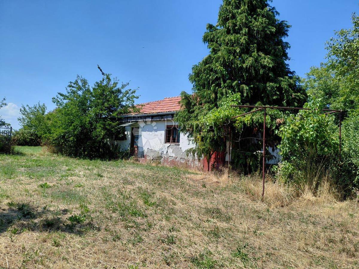 VETOVO