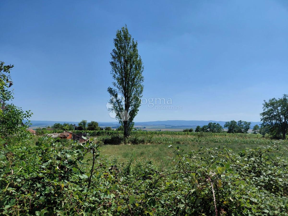 VETOVO