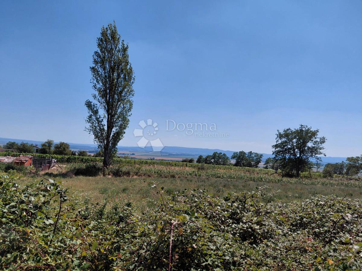 VETOVO