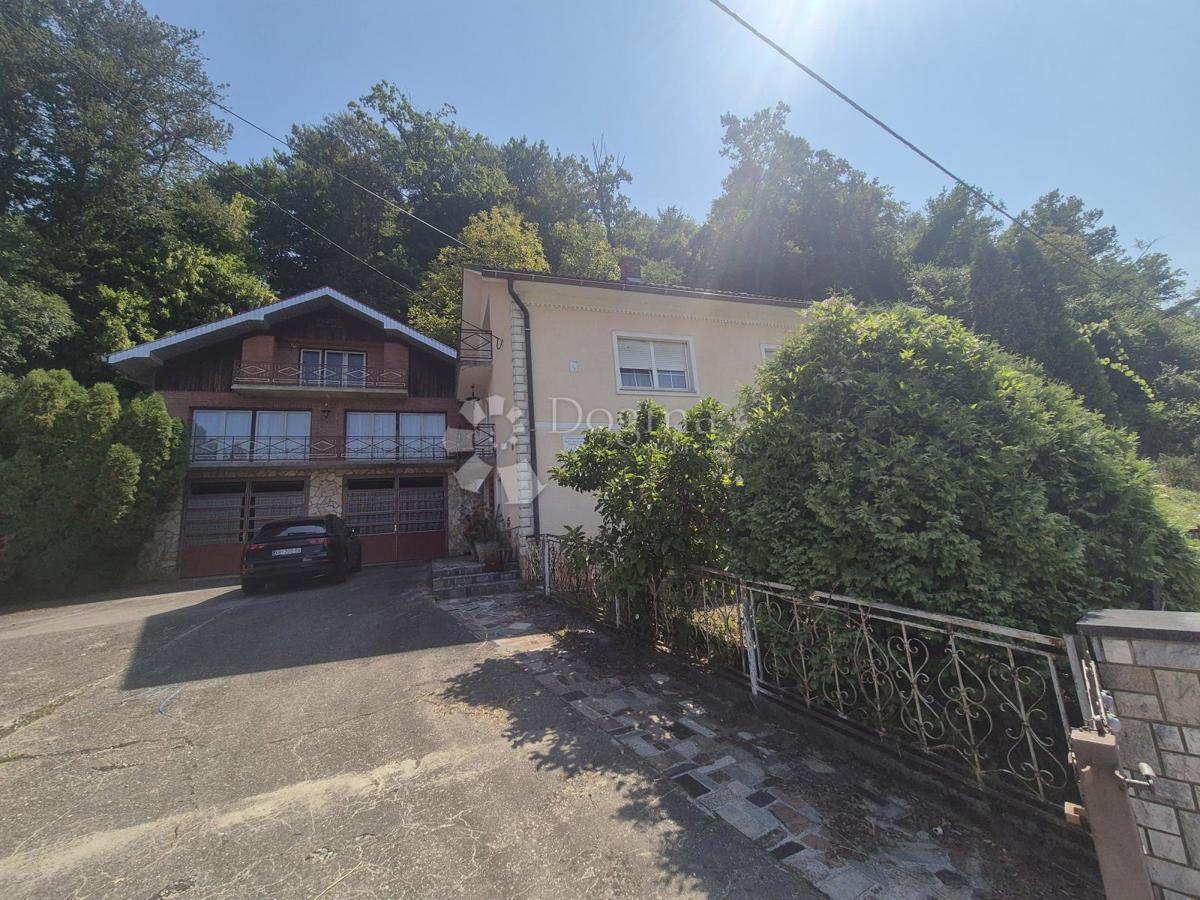 DONJA PAČETINA