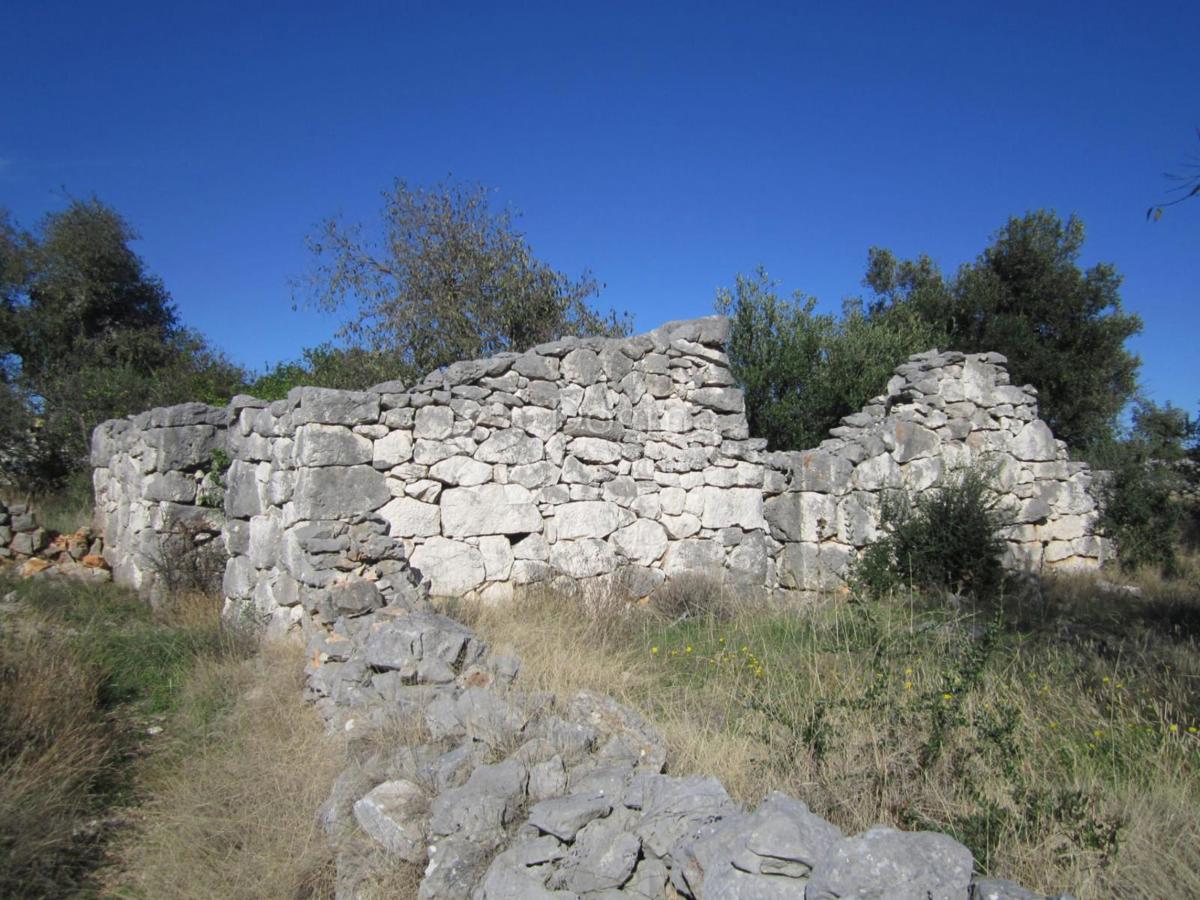 VINIŠĆE