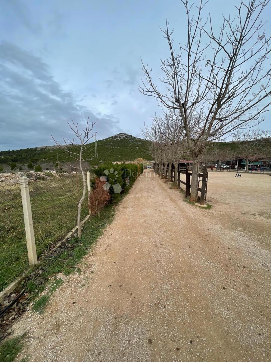 DUBRAVA KOD ŠIBENIKA