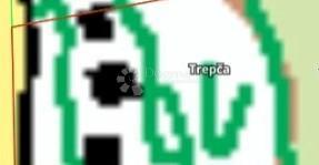 TREPČA