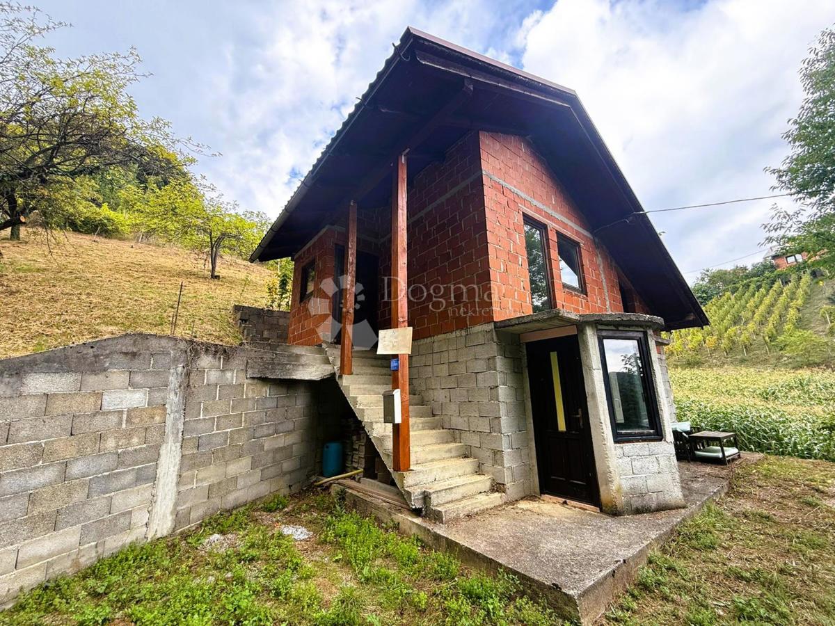 ZALUŽJE