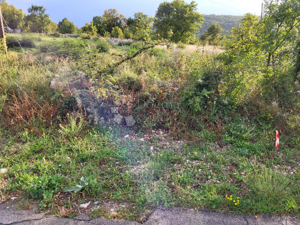 NOVI VINODOLSKI