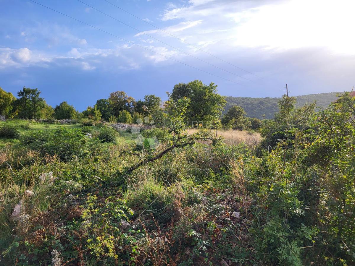 NOVI VINODOLSKI