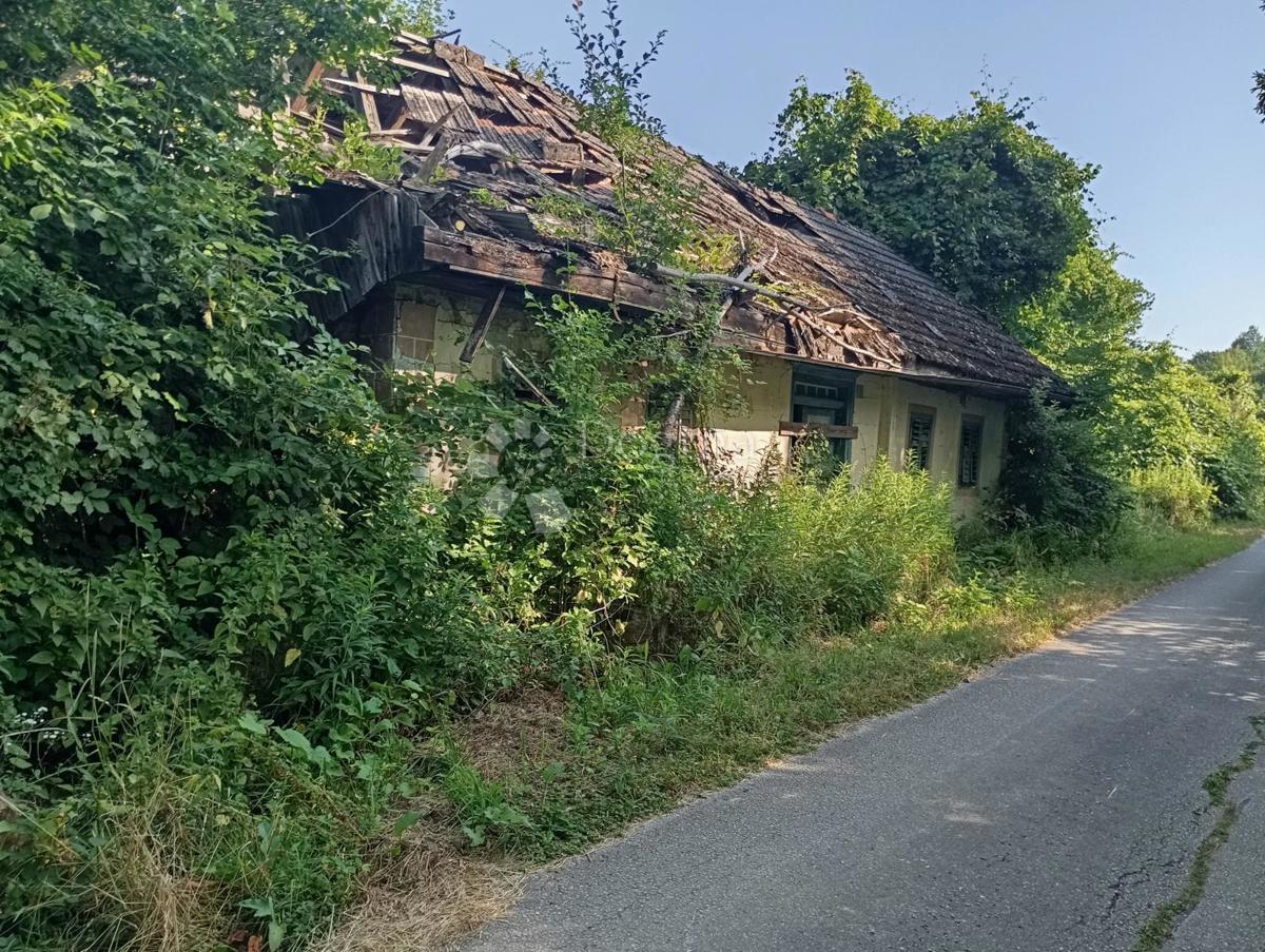 MILJANA