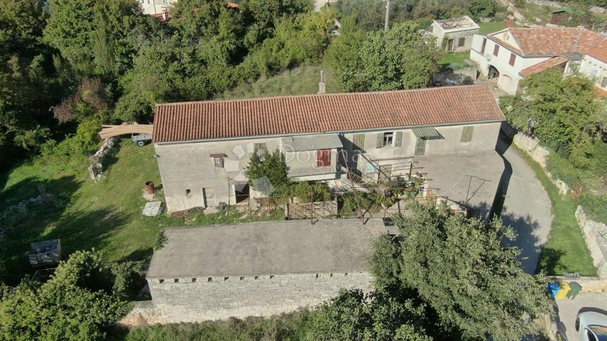 ŽMINJ