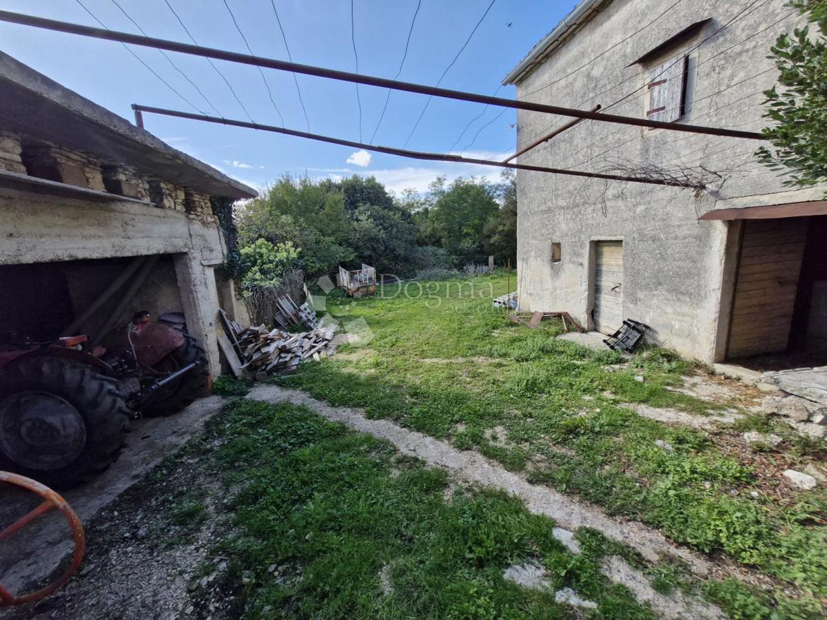 ŽMINJ