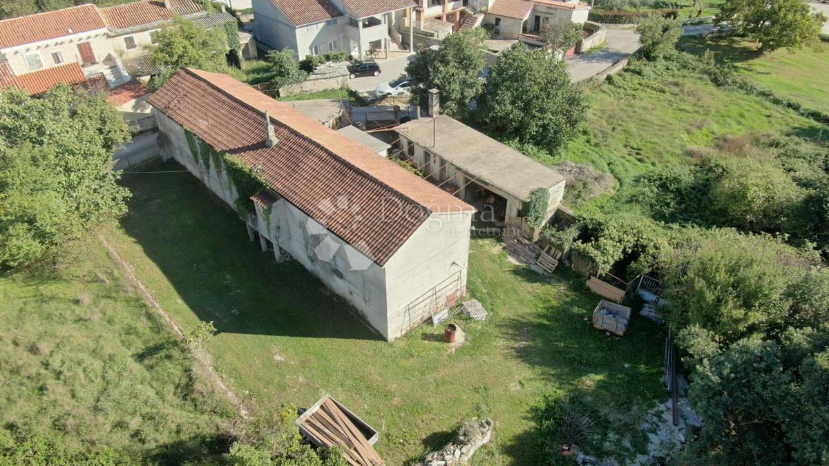 ŽMINJ