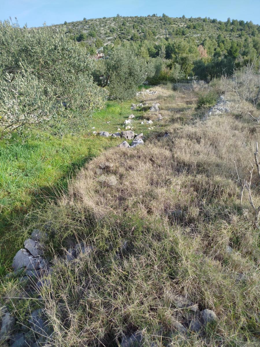 GUSTIRNA