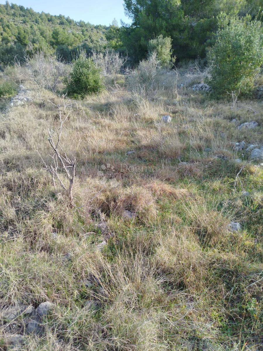 GUSTIRNA