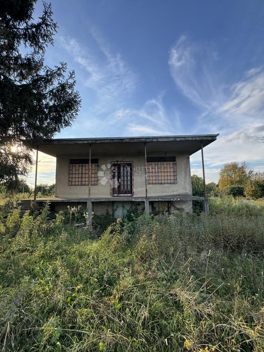 HAMPOVICA