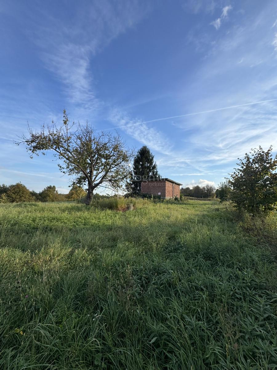 HAMPOVICA