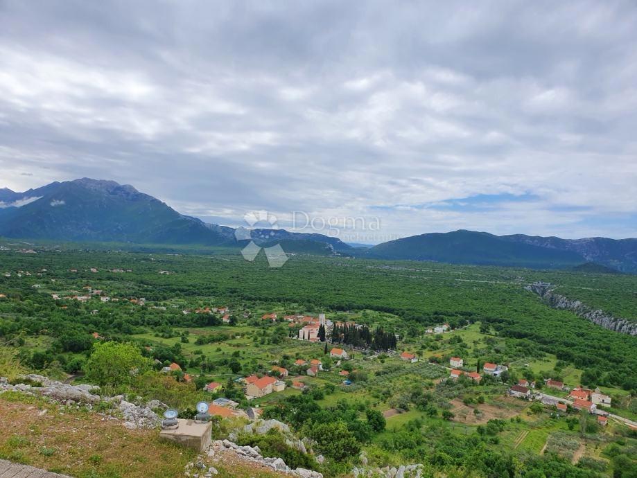 KATUNI