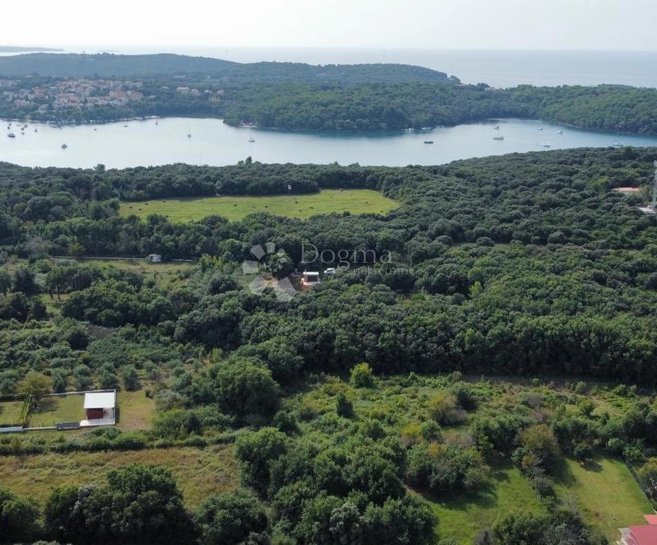 PJEŠČANA UVALA