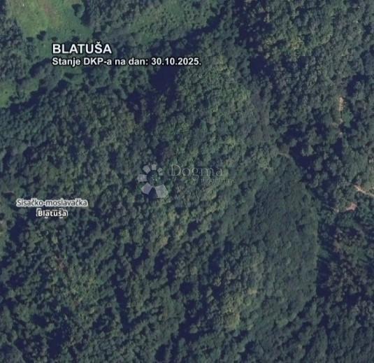 BLATUŠA