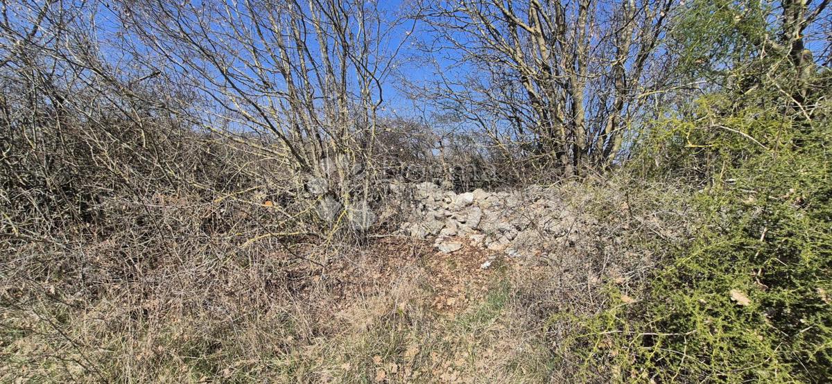 image 24