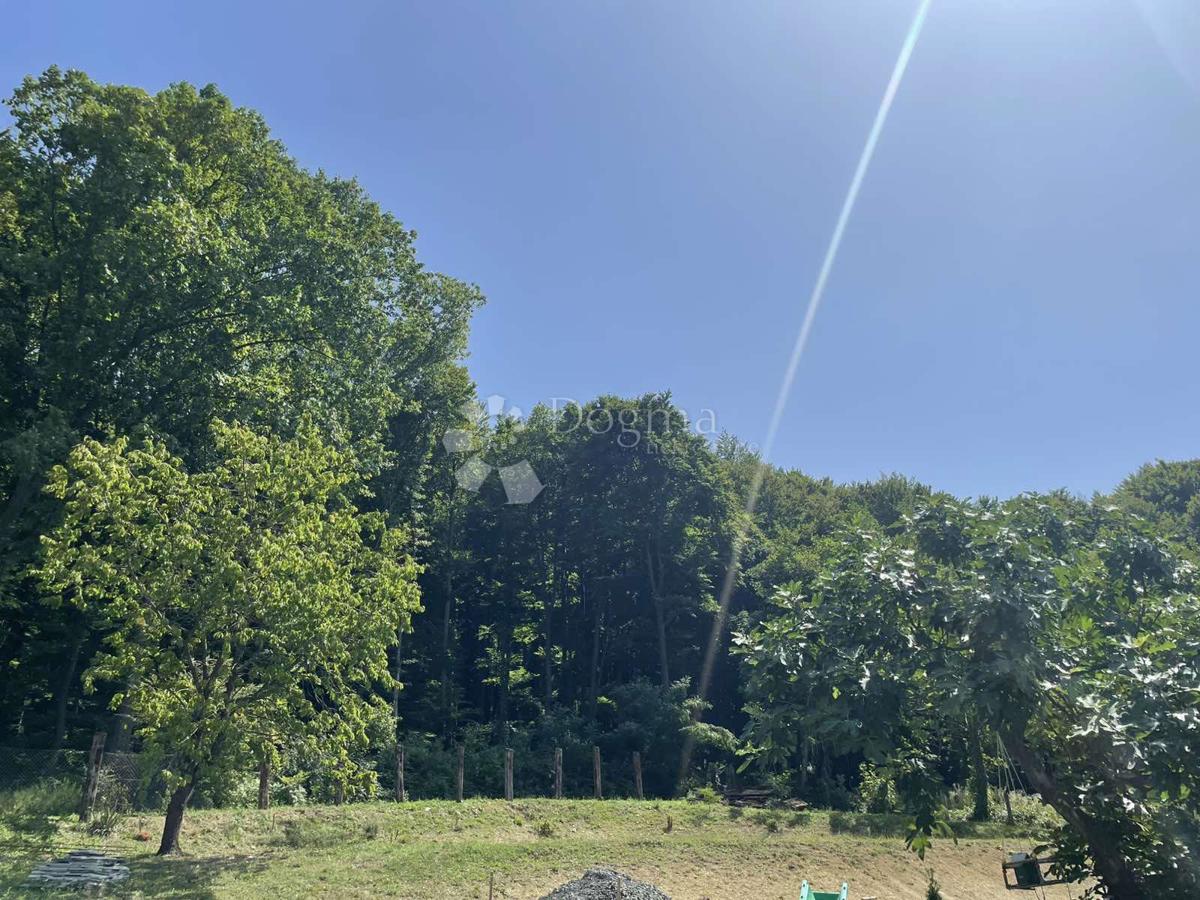 image 28
