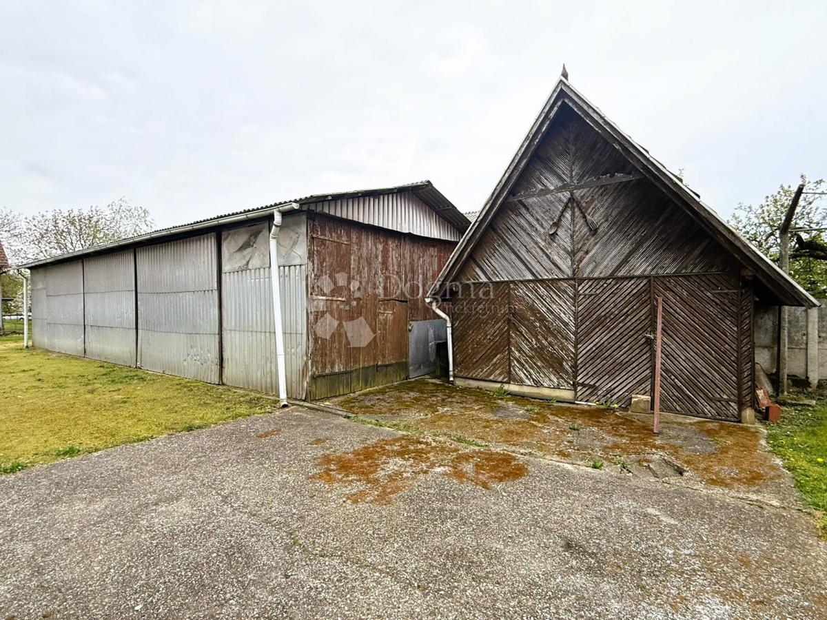 image 14