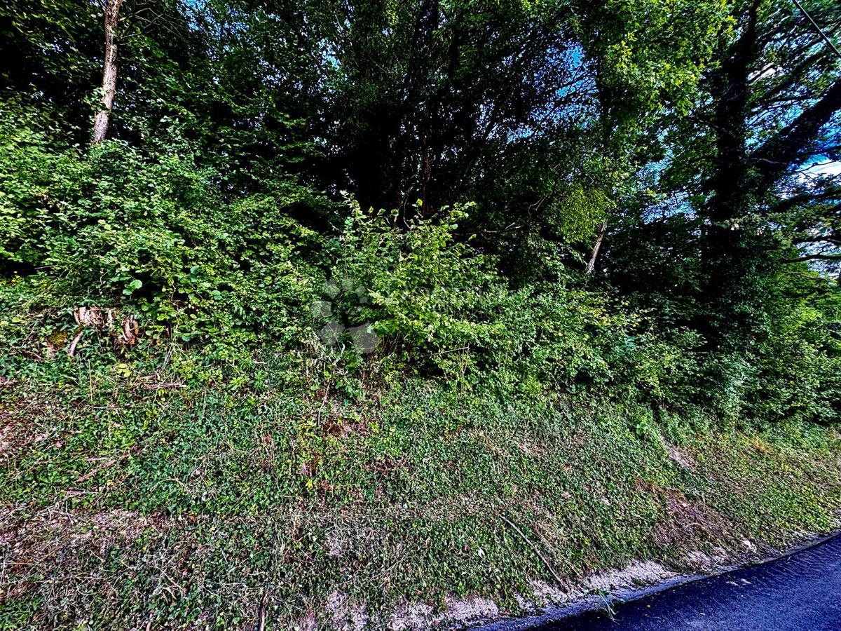 image 25