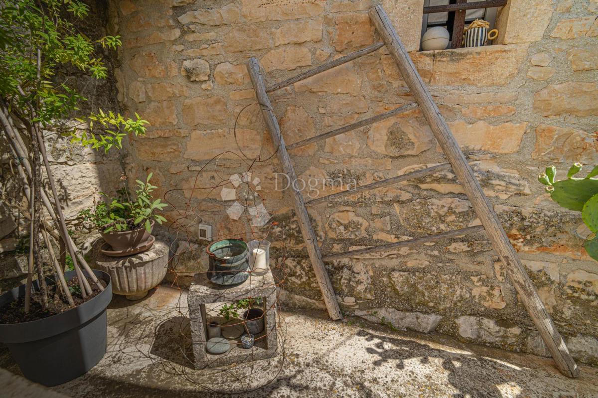 image 38
