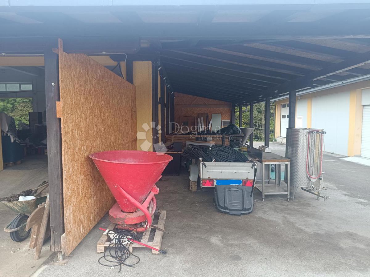 image 13