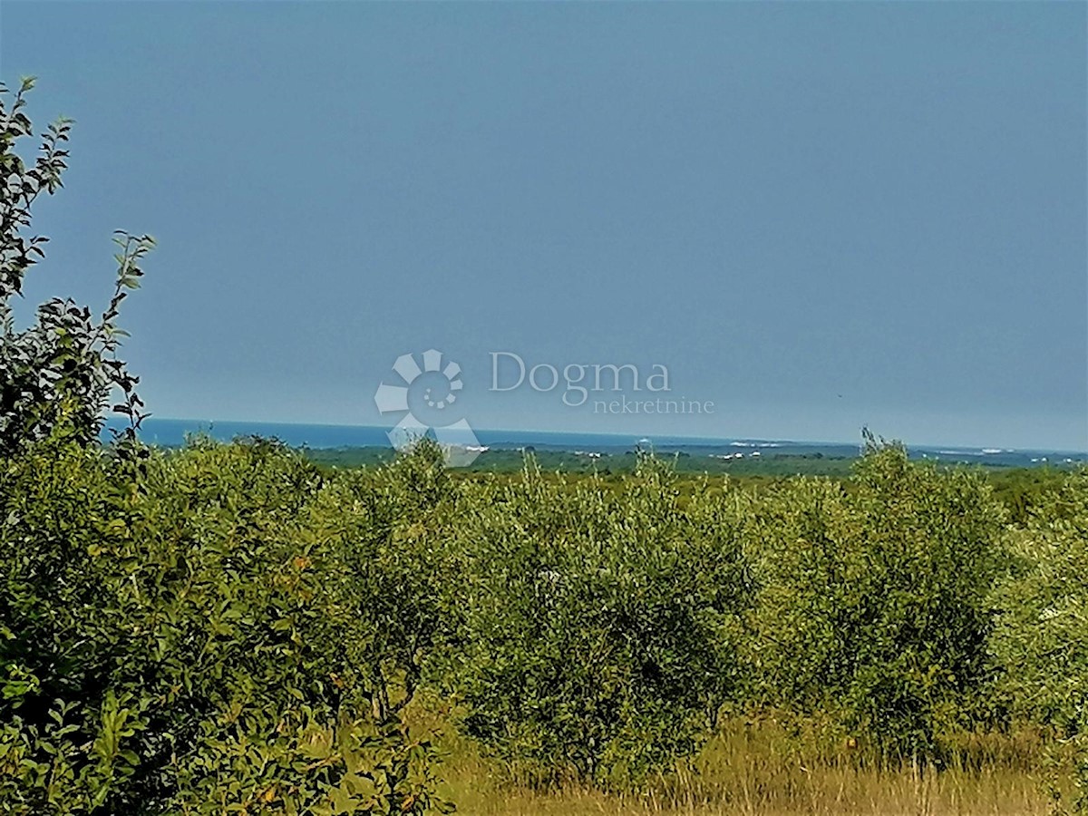 VODNJAN