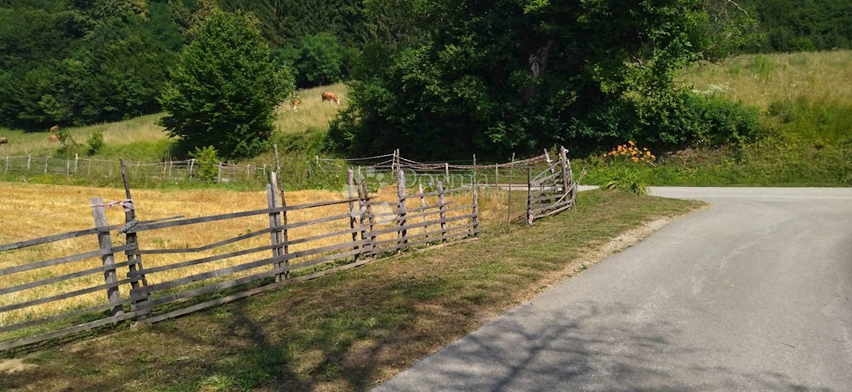 BOSILJEVO