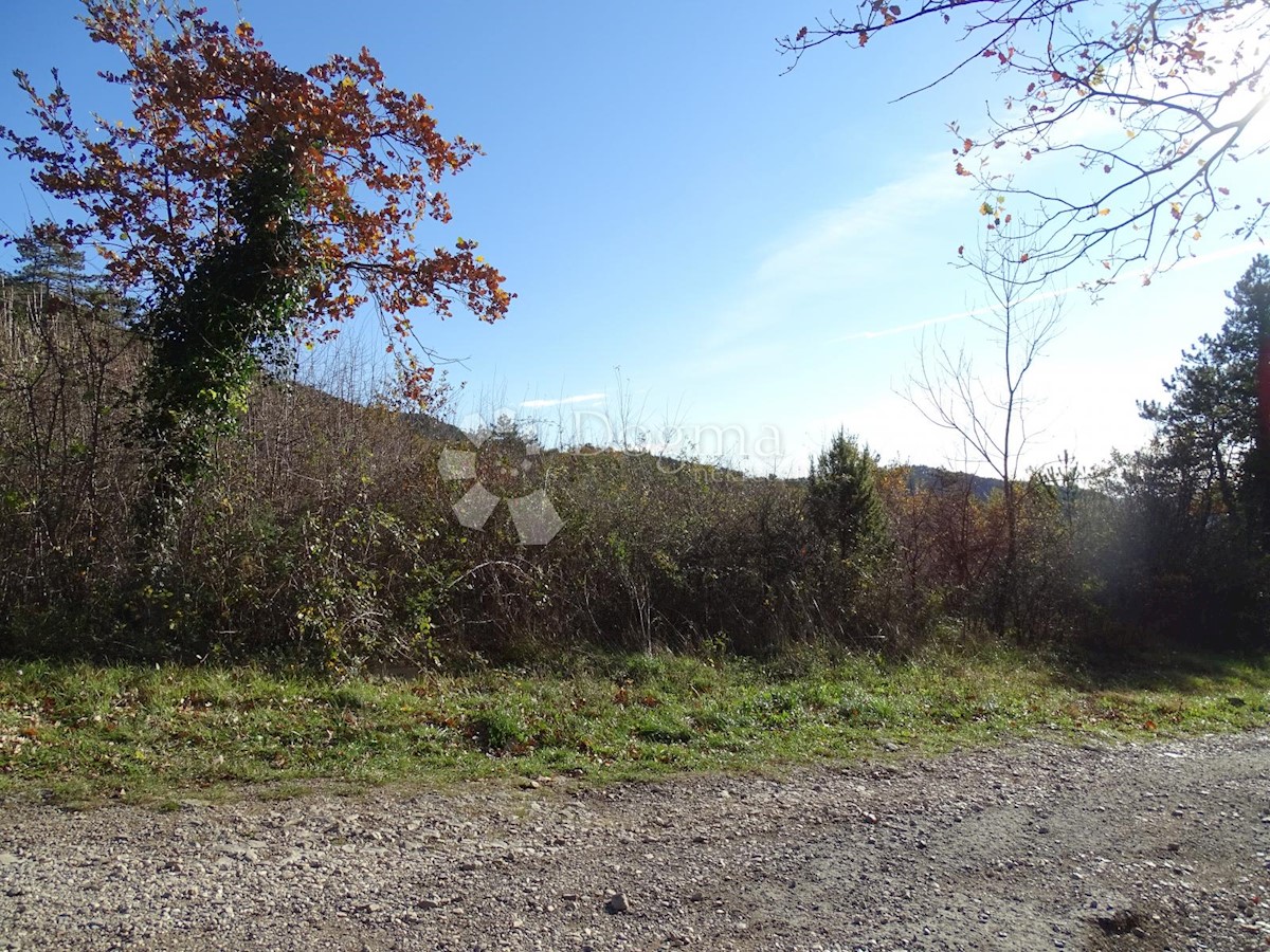 BUZET