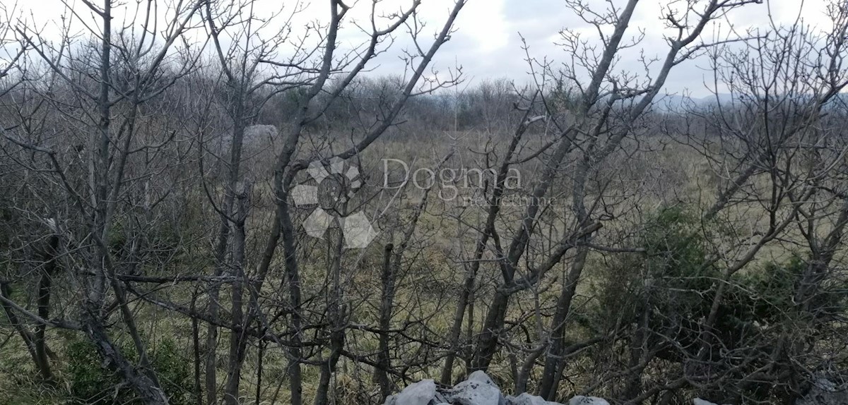 ŠKRLJEVO