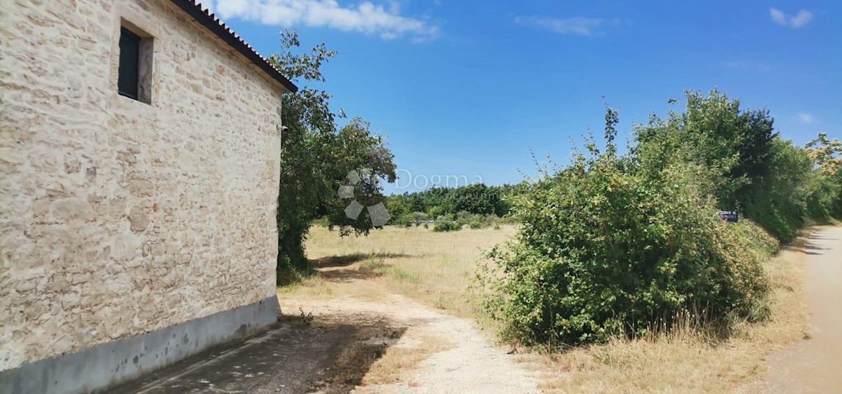 BIČIĆI