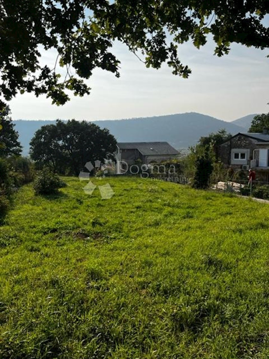 BRIBIR