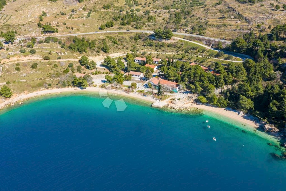 STANIĆI