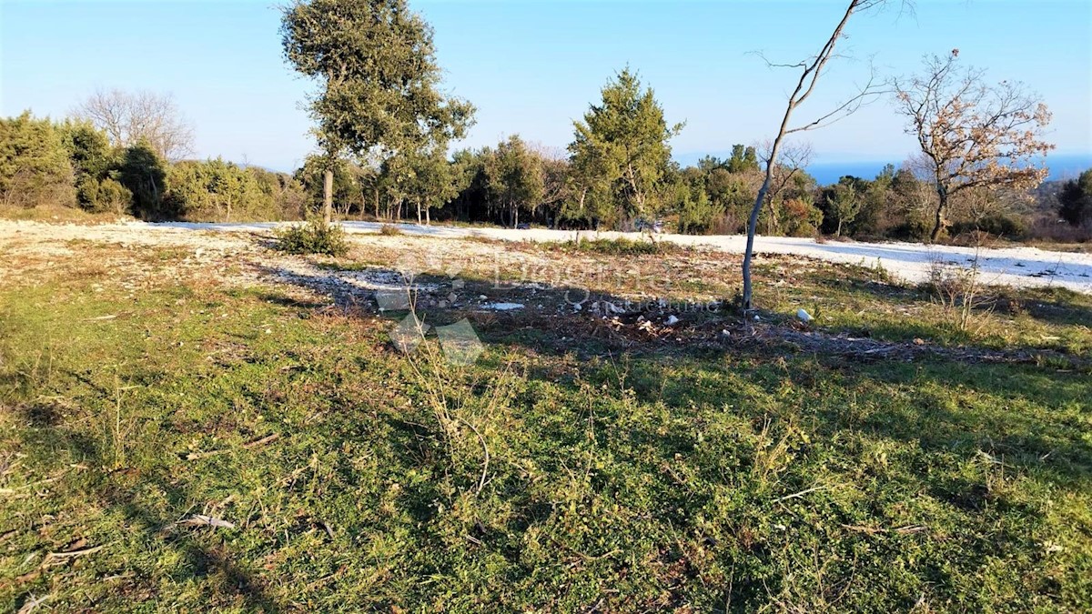 PERUŠKI