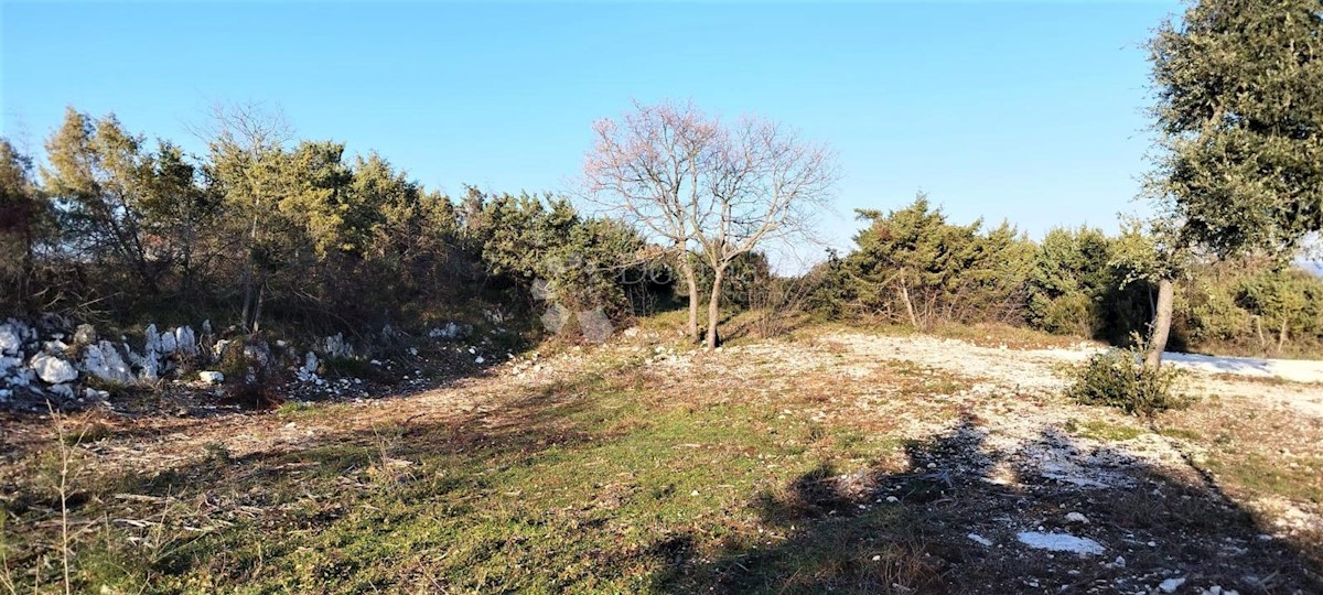PERUŠKI