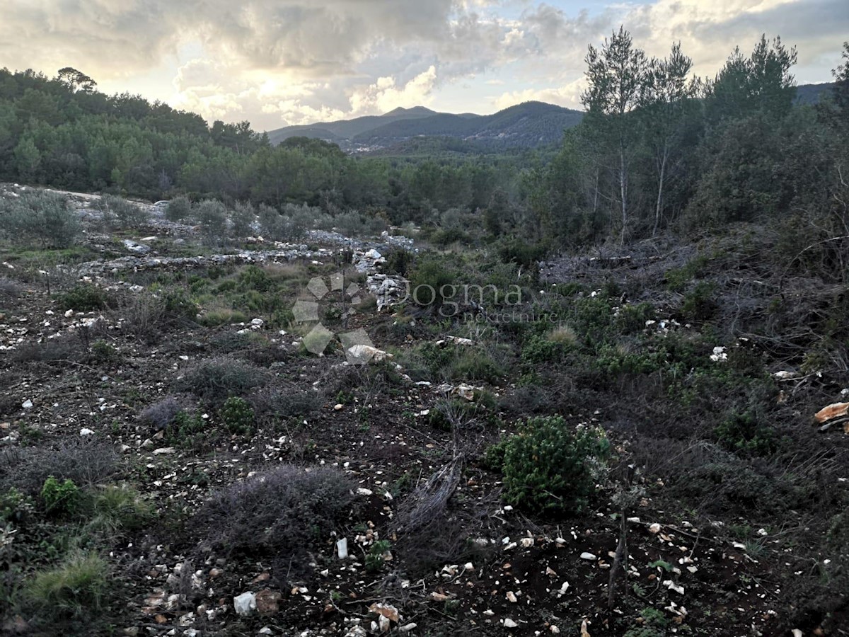ČARA