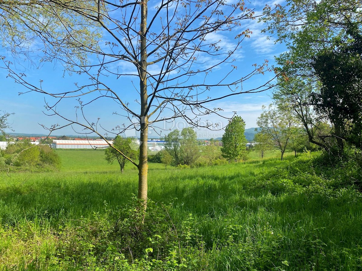 NOVAKI