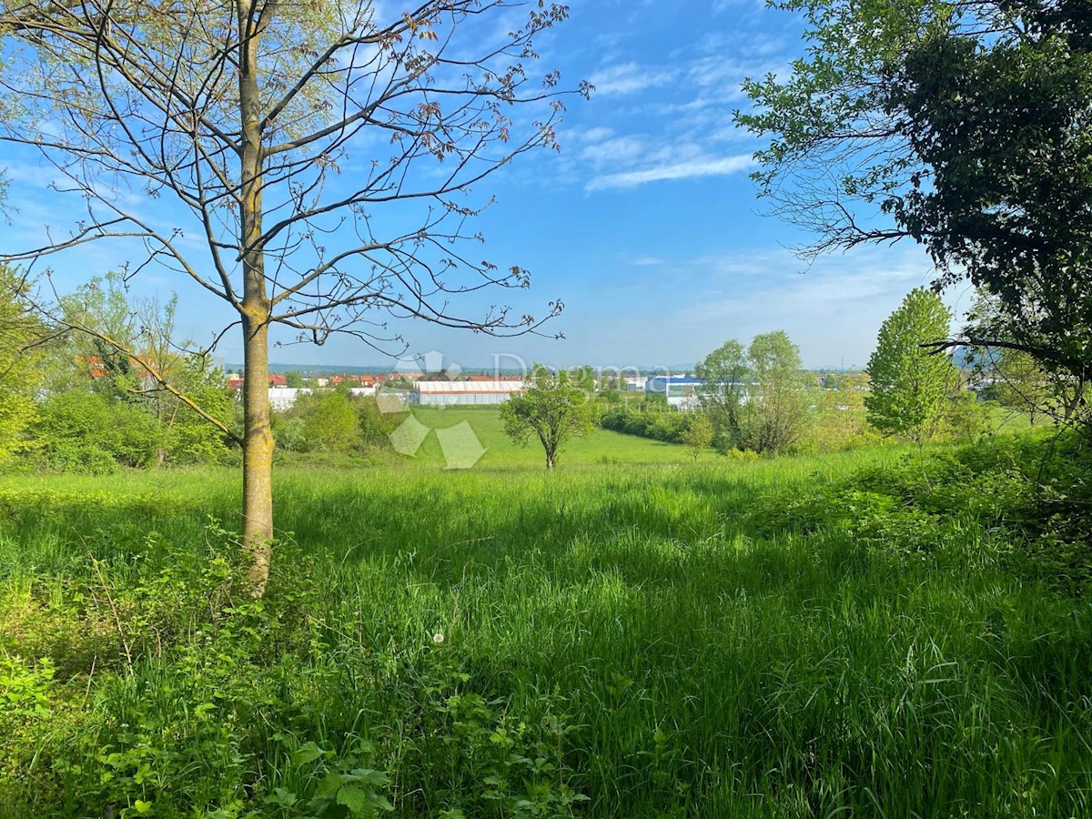 NOVAKI