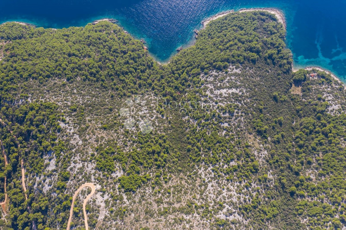 ZASTRAŽIŠĆE