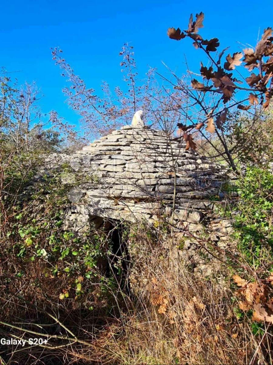 FAŽANA