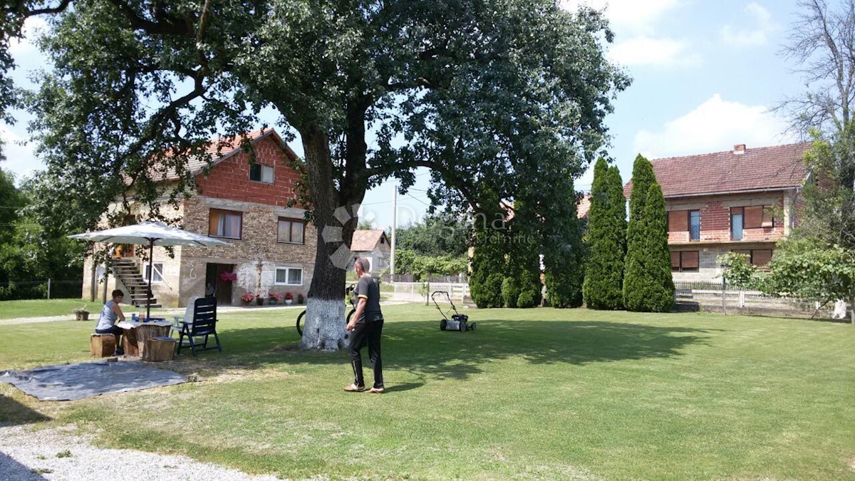 PETRINJCI