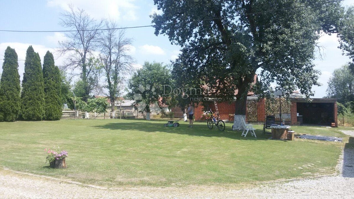 PETRINJCI