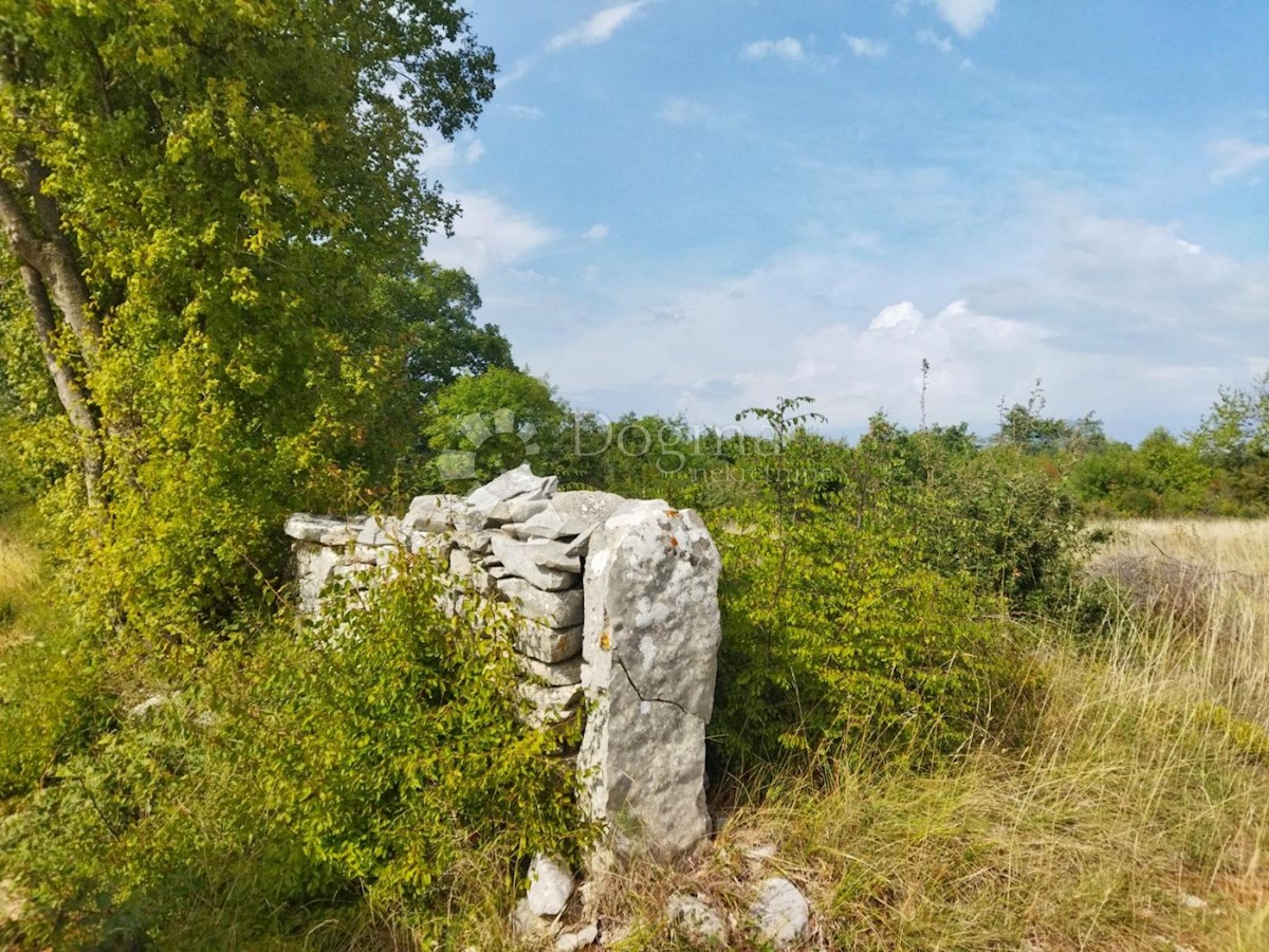 KANFANAR