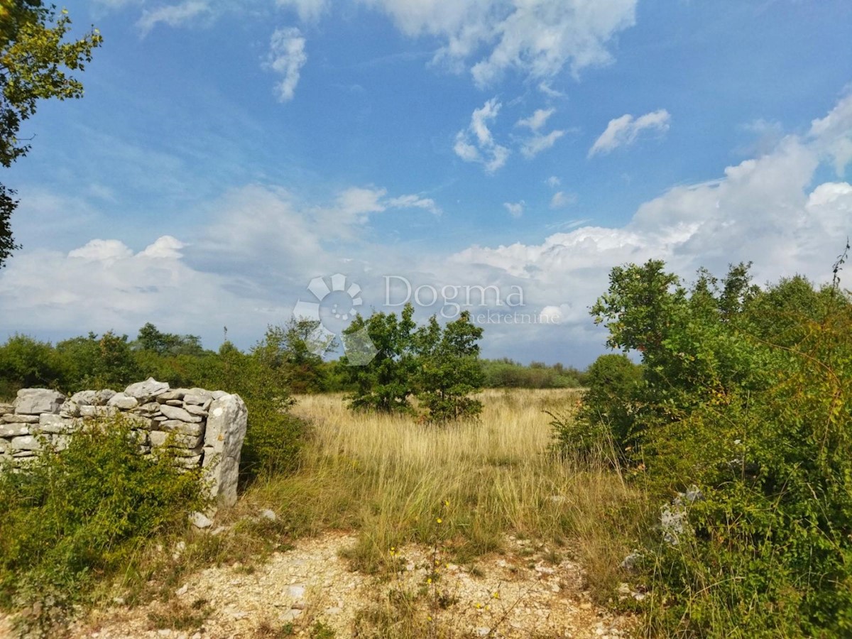 KANFANAR
