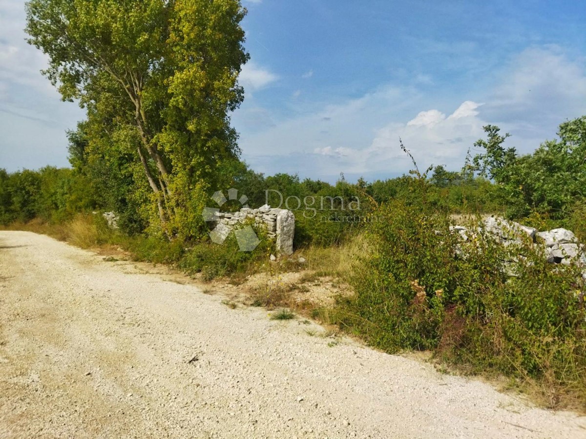 KANFANAR