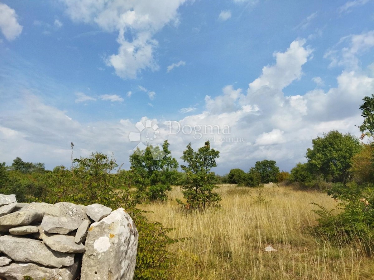 KANFANAR