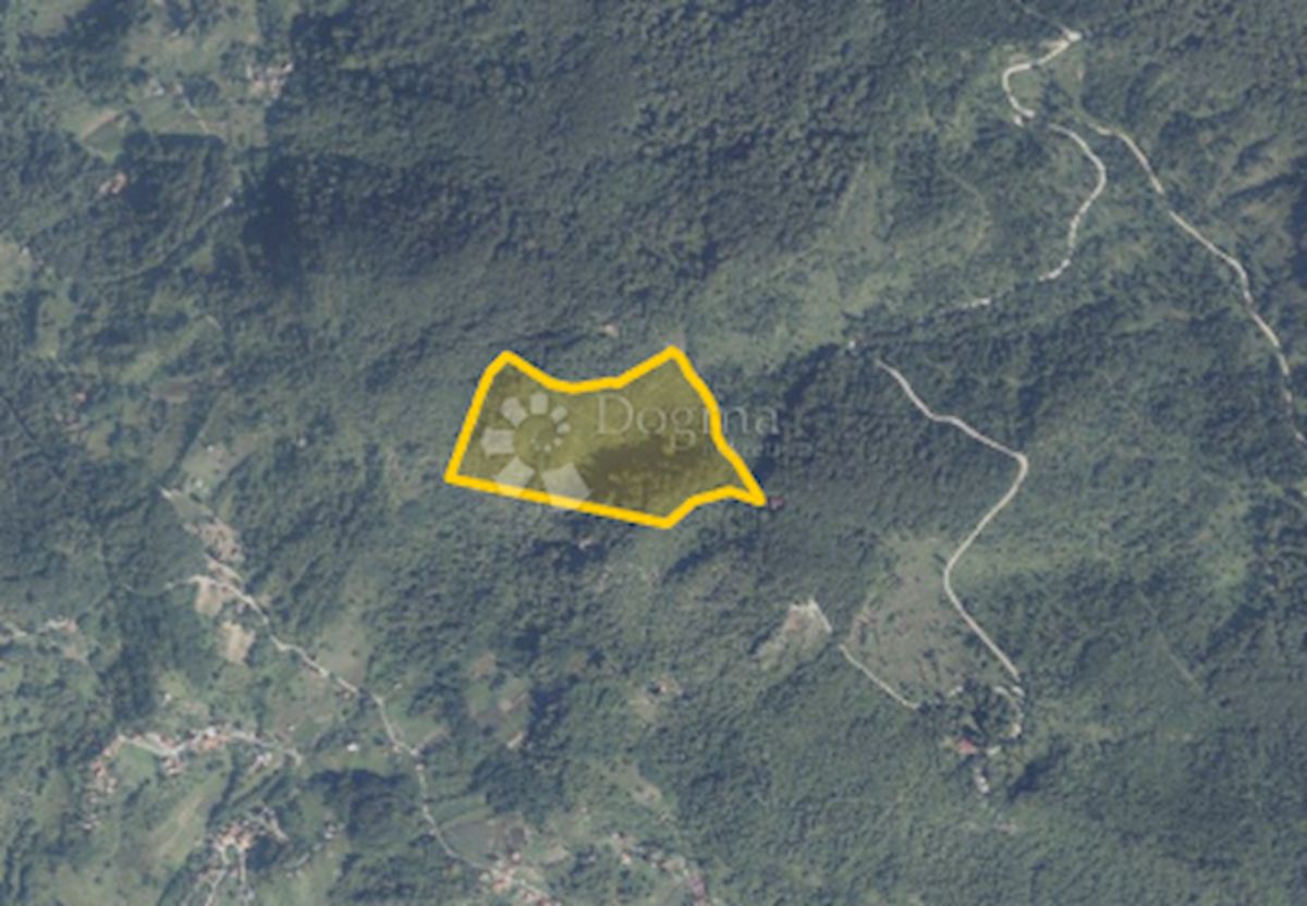 BEDNJA