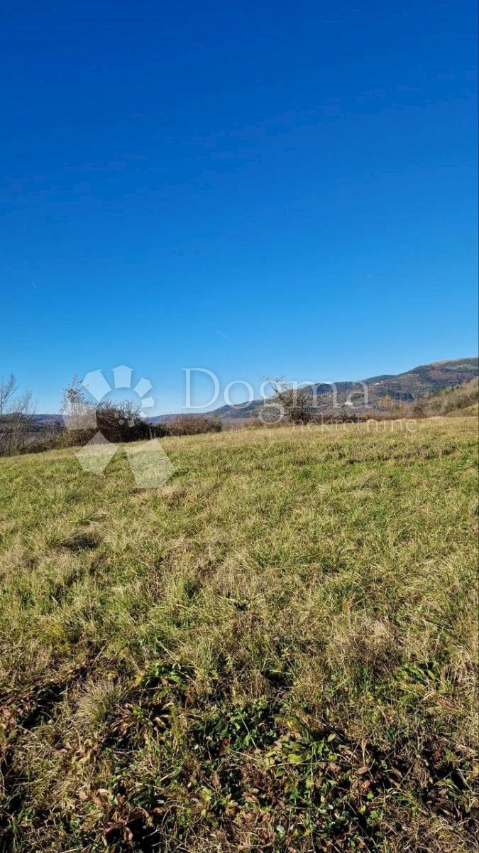 SOVINJSKA BRDA