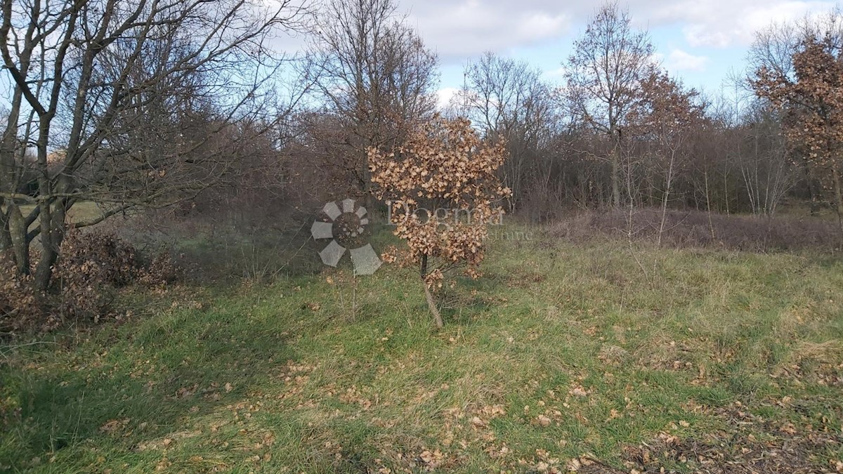VALTURA